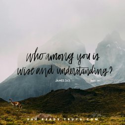 wise and understanding