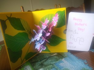 img_20200514_145103382